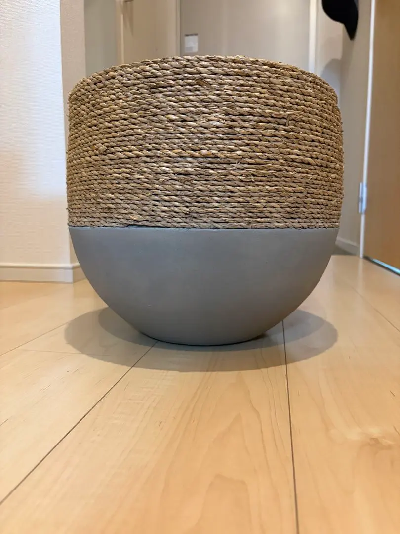 2026年最新】konton 鉢の人気アイテム - メルカリ