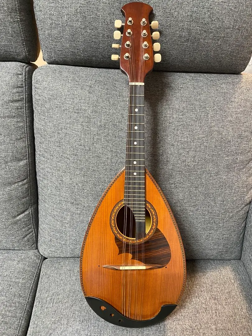 2026年最新】マンドリン suzuki 226の人気アイテム - メルカリ