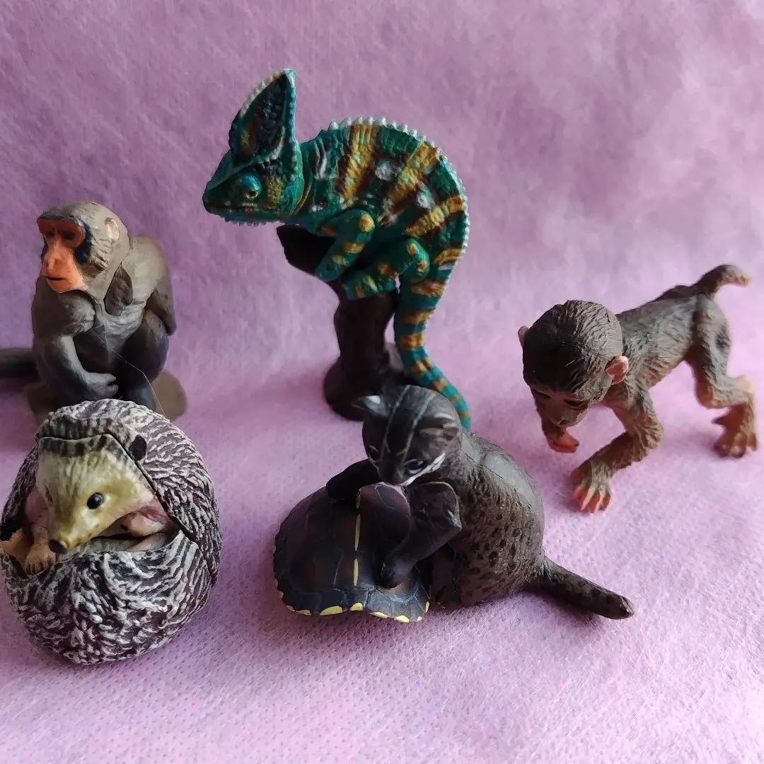 2026年最新】チョコq 11弾の人気アイテム - メルカリ