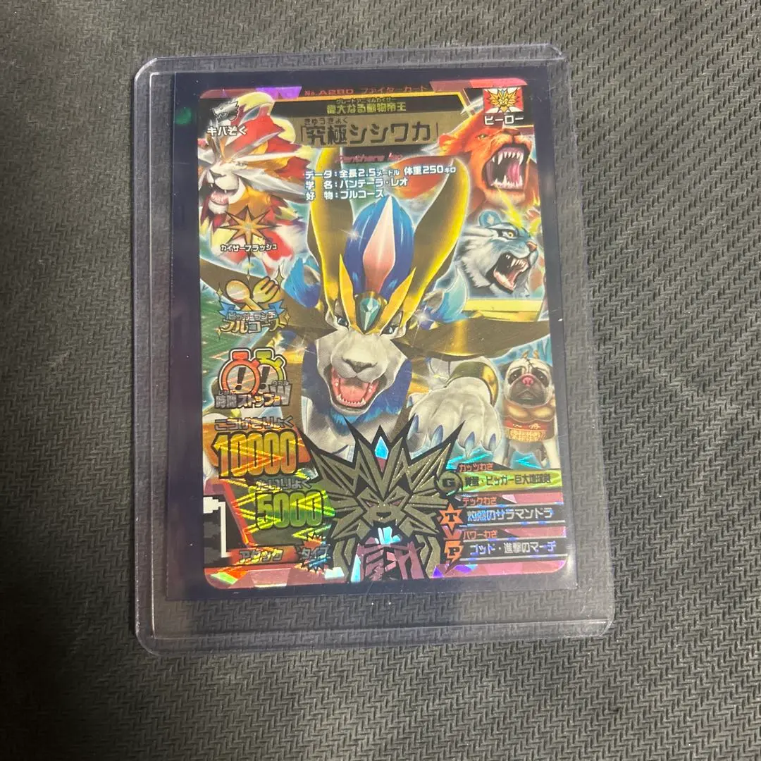 2026年最新】アニマルカイザー シシワカの人気アイテム - メルカリ