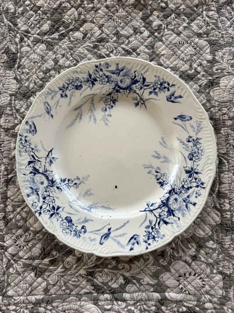 2026年最新】クレイユモントロー linotteの人気アイテム - メルカリ