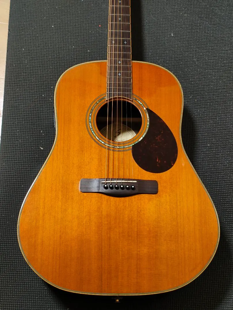 2026年最新】エレアコ greg bennettの人気アイテム - メルカリ