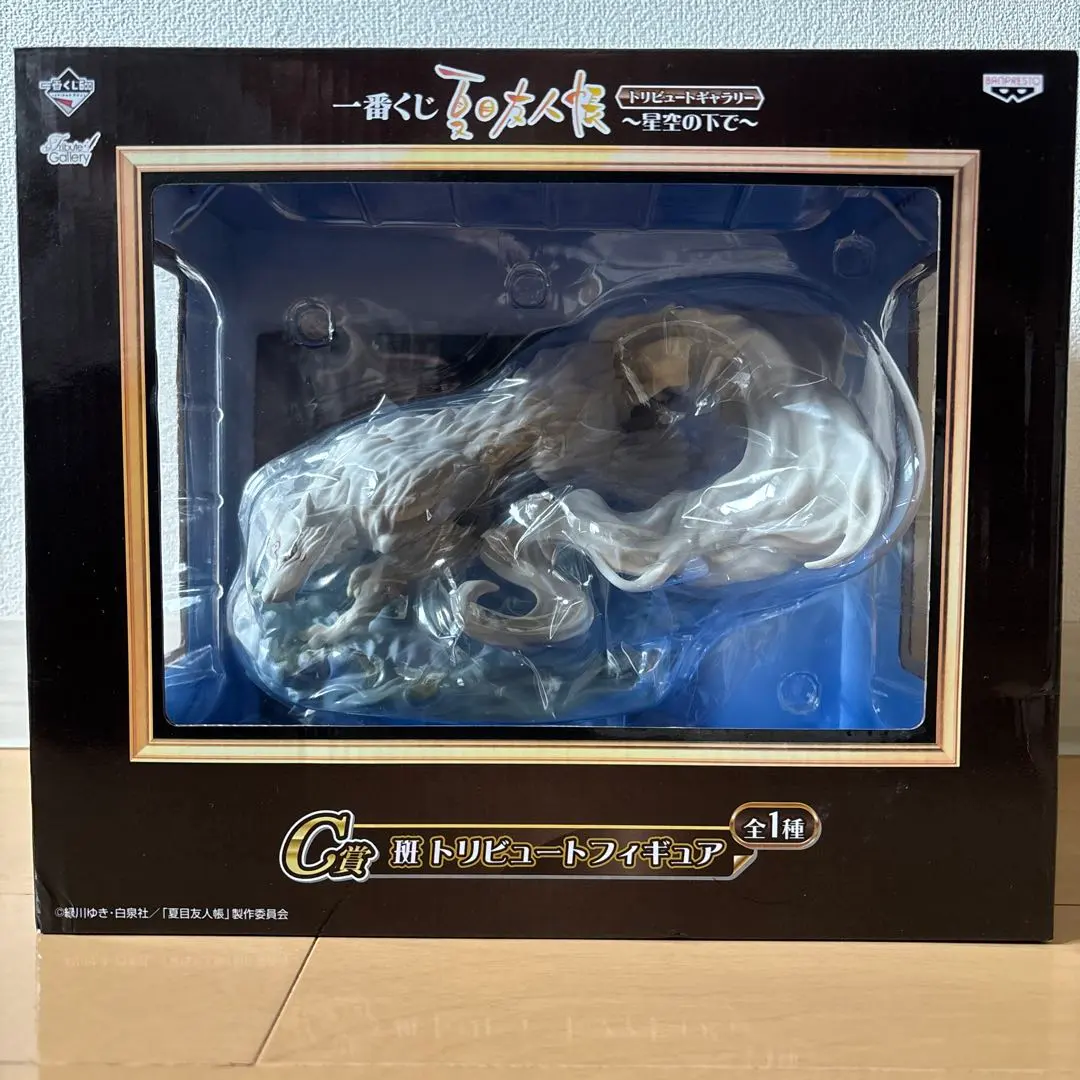 m43307193544_1.jpg?1762561316