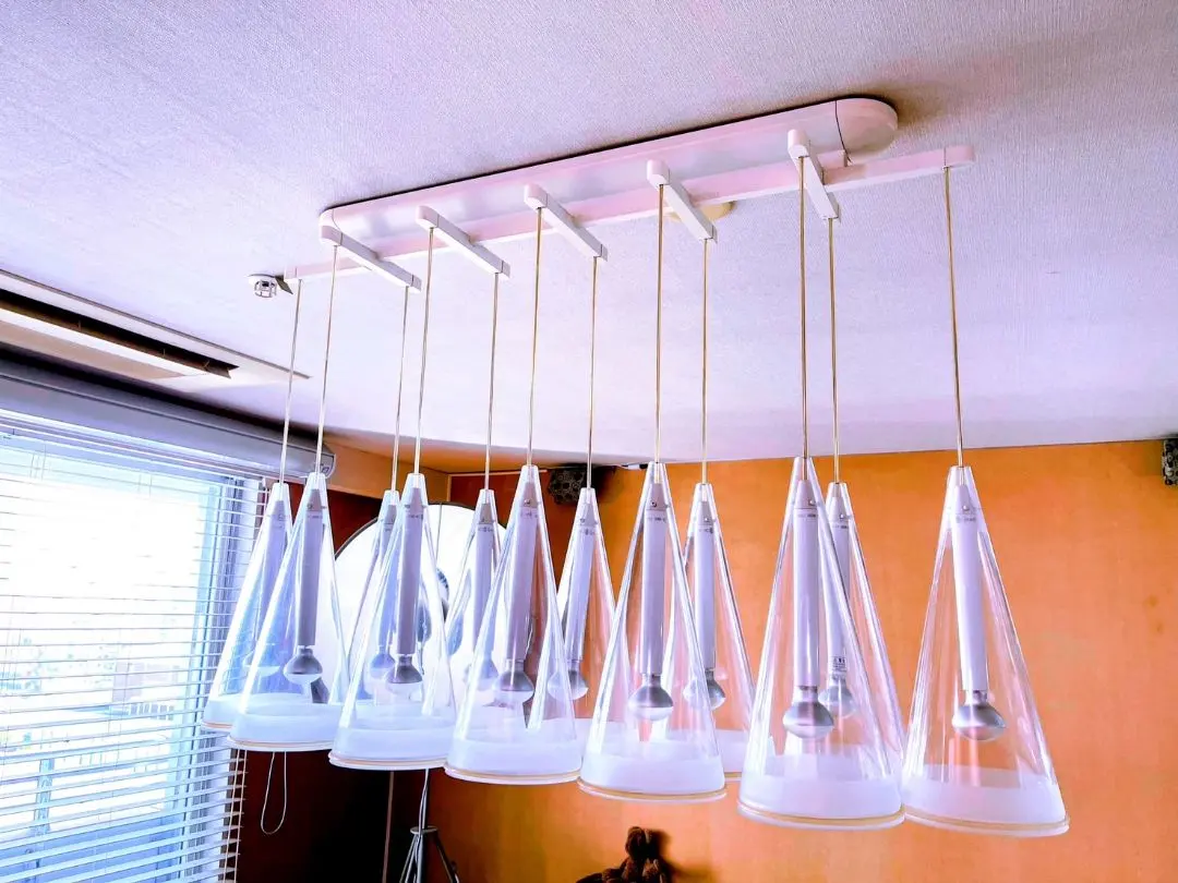 2026年最新】flos fucsiaの人気アイテム - メルカリ