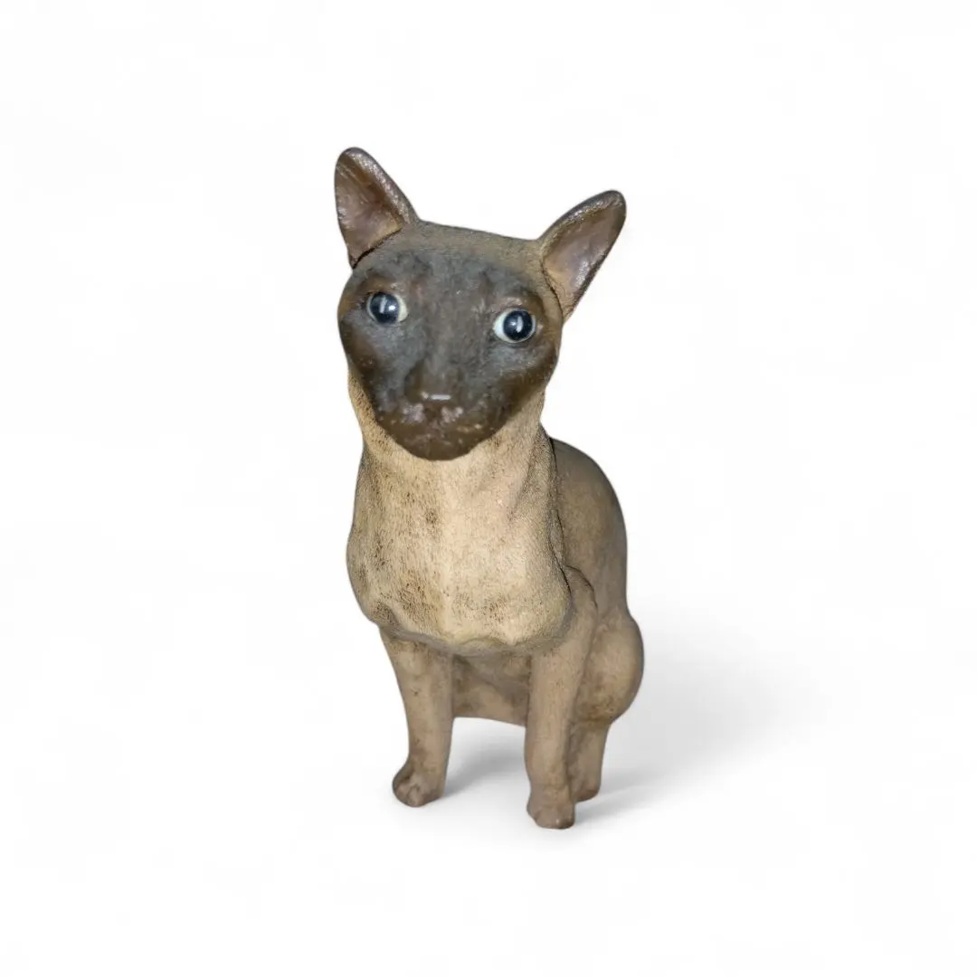 2026年最新】Castagnaの人気アイテム - メルカリ