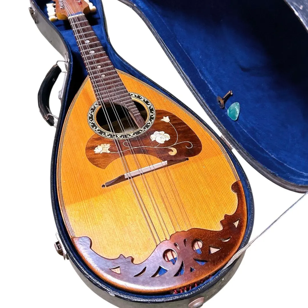 2026年最新】国島 マンドリンの人気アイテム - メルカリ