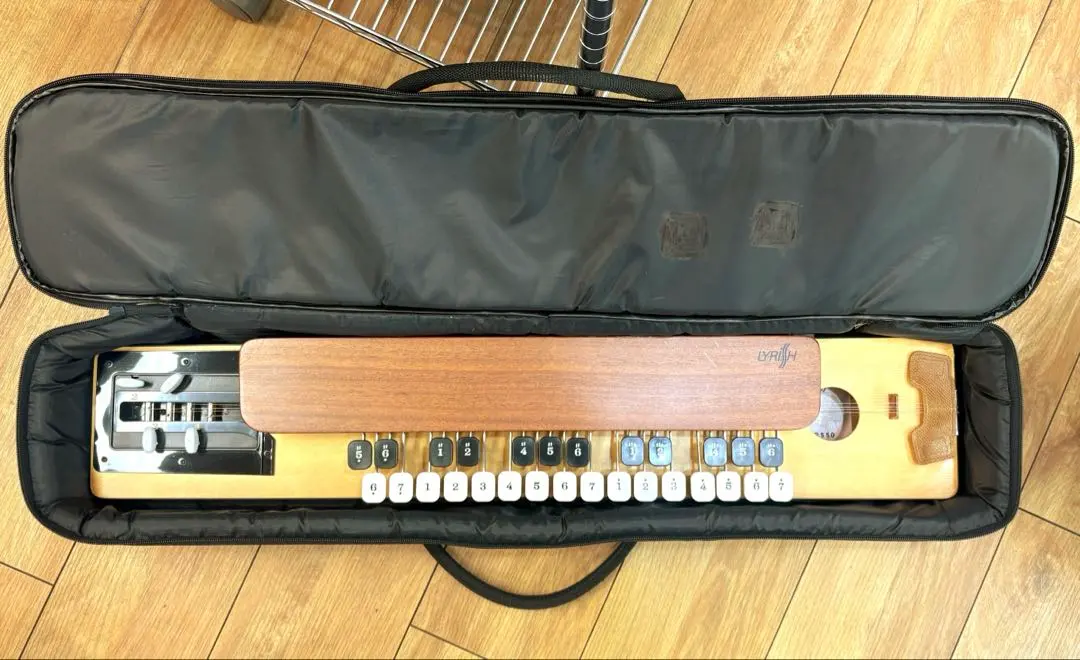 2026年最新】ライリッシュ大正琴の人気アイテム - メルカリ