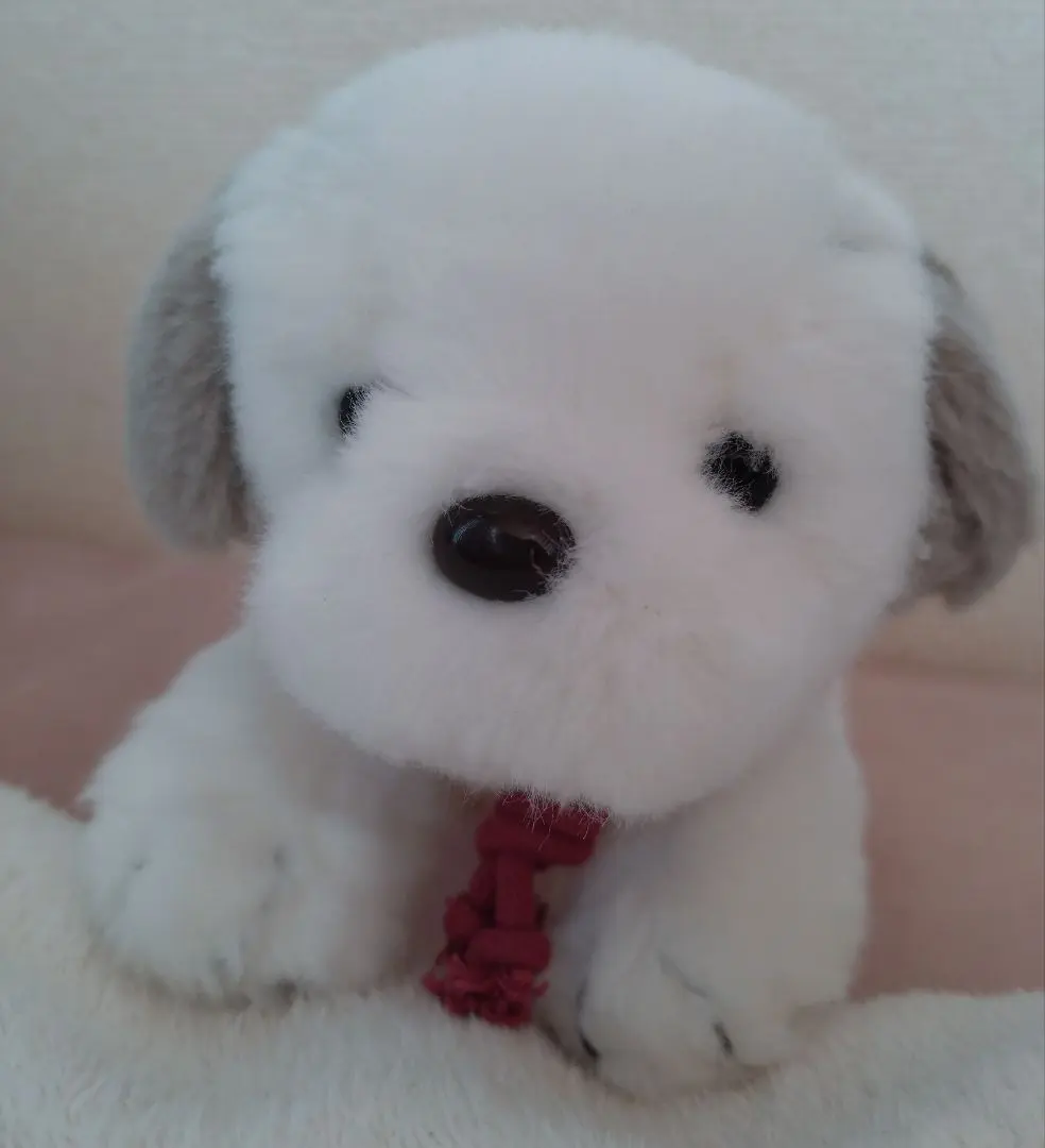 2026年最新】うめ吉 くたくたの人気アイテム - メルカリ