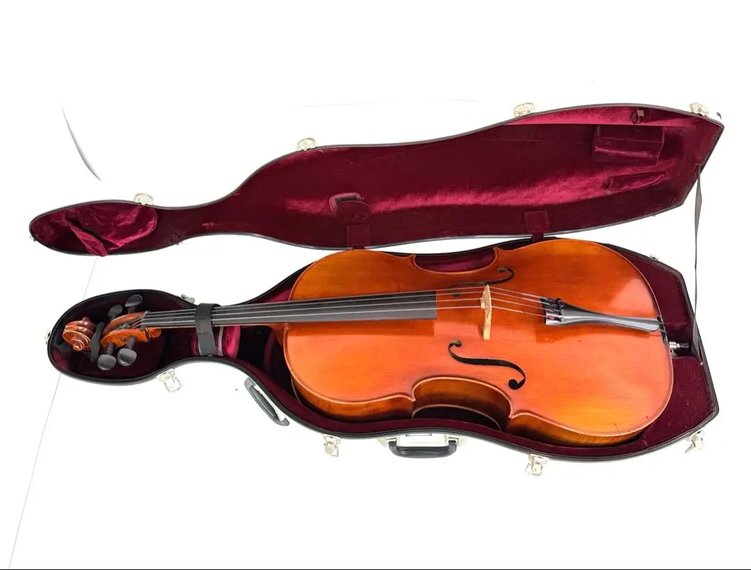 2026年最新】ドイツ製チェロの人気アイテム - メルカリ