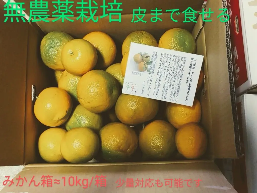 2026年最新】ぽん酢サワーの人気アイテム - メルカリ