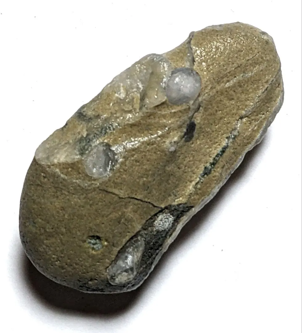 2026年最新】舎利母石の人気アイテム - メルカリ