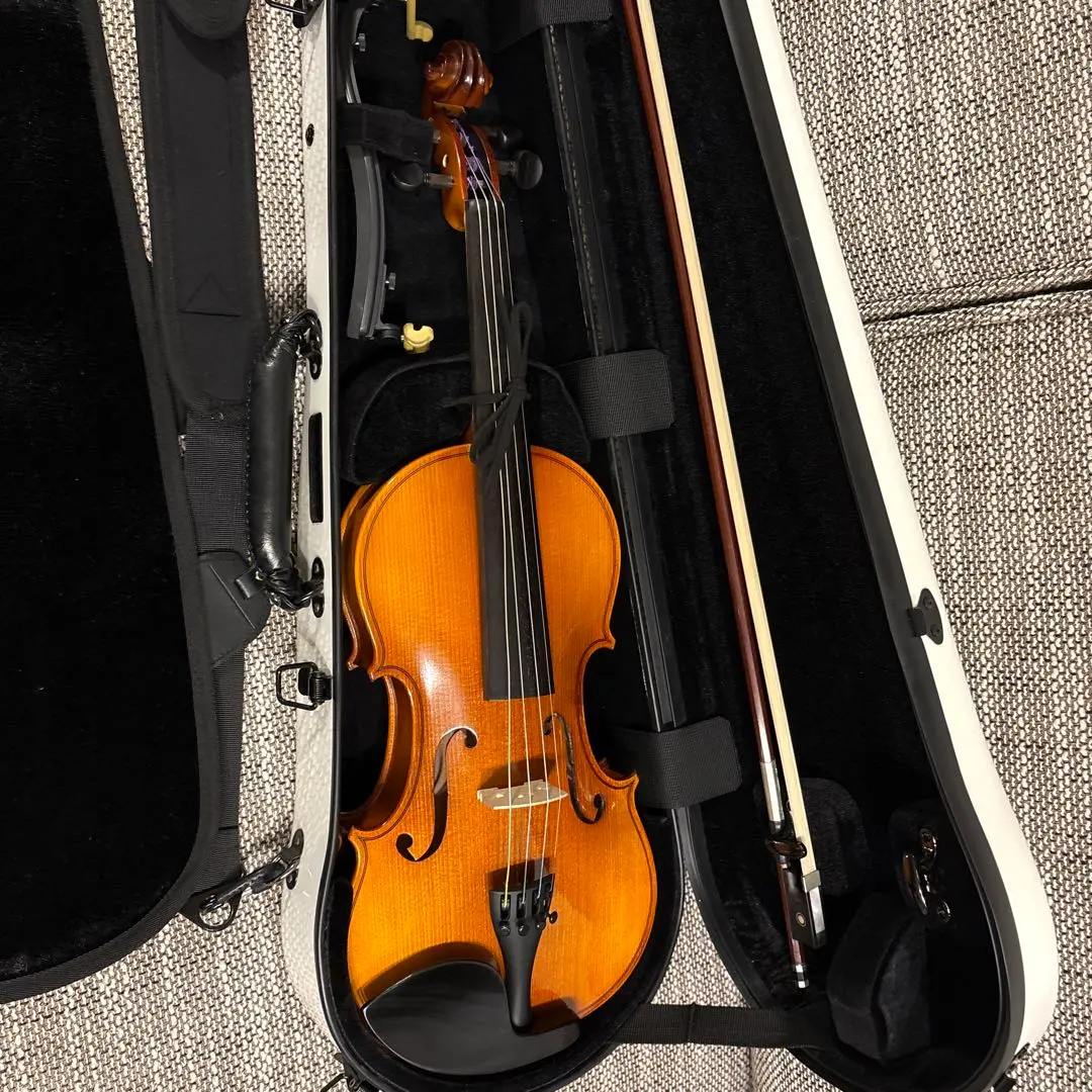 2026年最新】バイオリンケース カーボンマックの人気アイテム - メルカリ