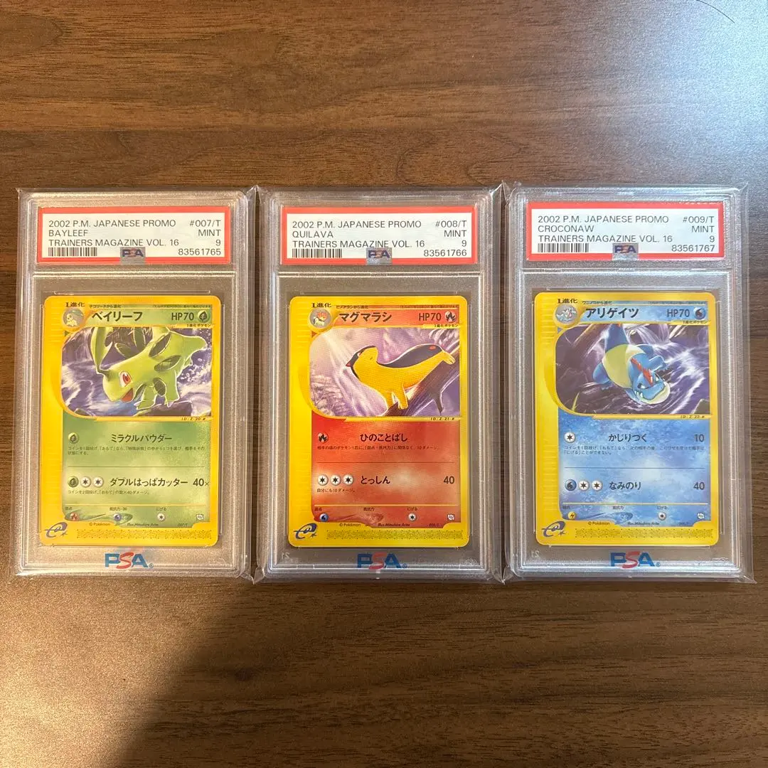 2026年最新】マグマラシ psaの人気アイテム - メルカリ