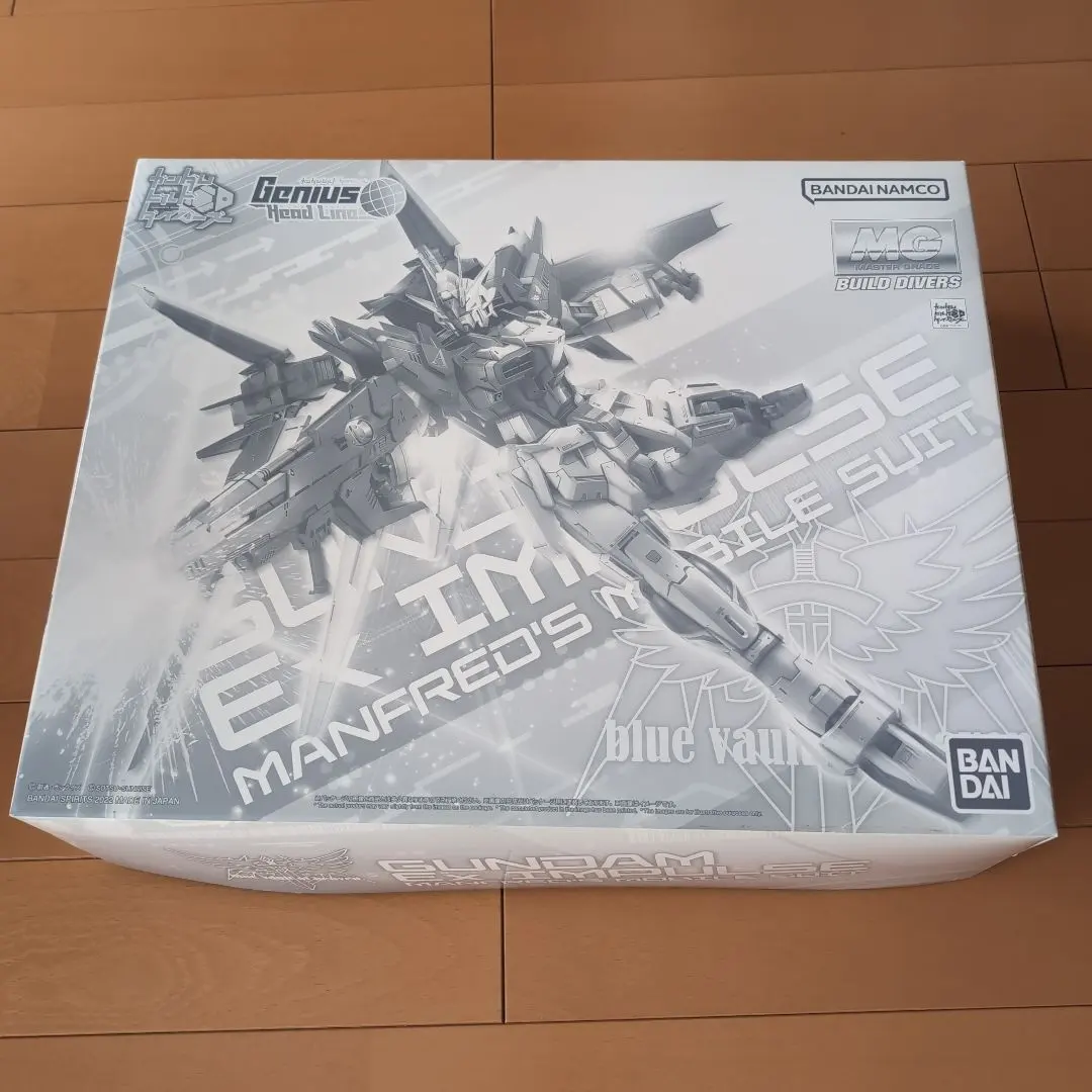 2026年最新】MG 1/100 ガンダムエクスインパルスの人気アイテム - メルカリ