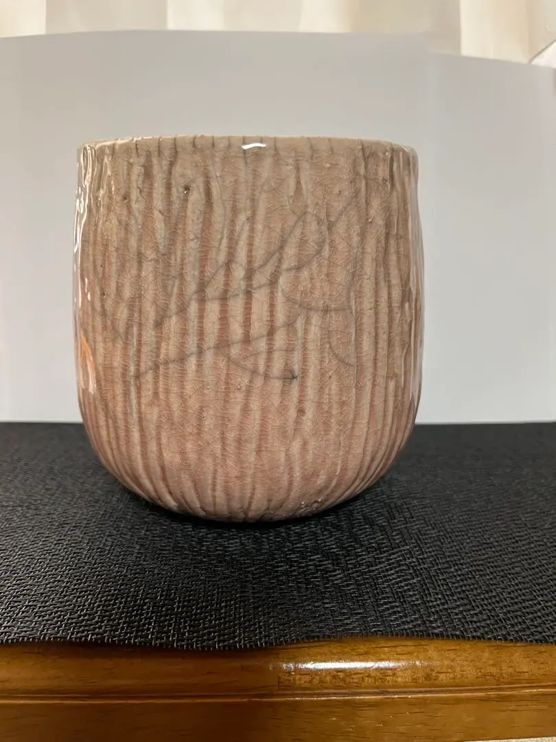 2026年最新】domani ドマーニ 鉢の人気アイテム - メルカリ