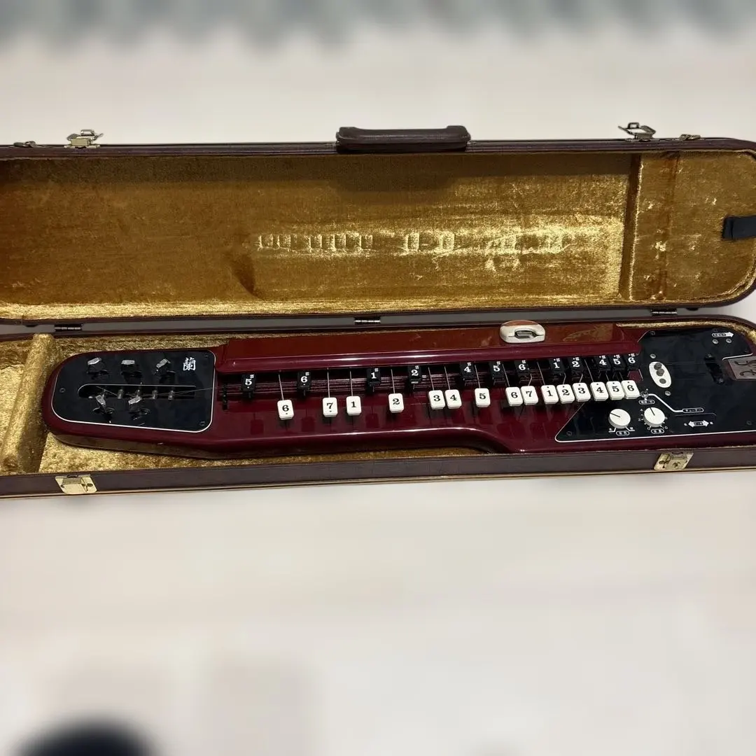 2026年最新】スズキ 大正琴 蘭の人気アイテム - メルカリ