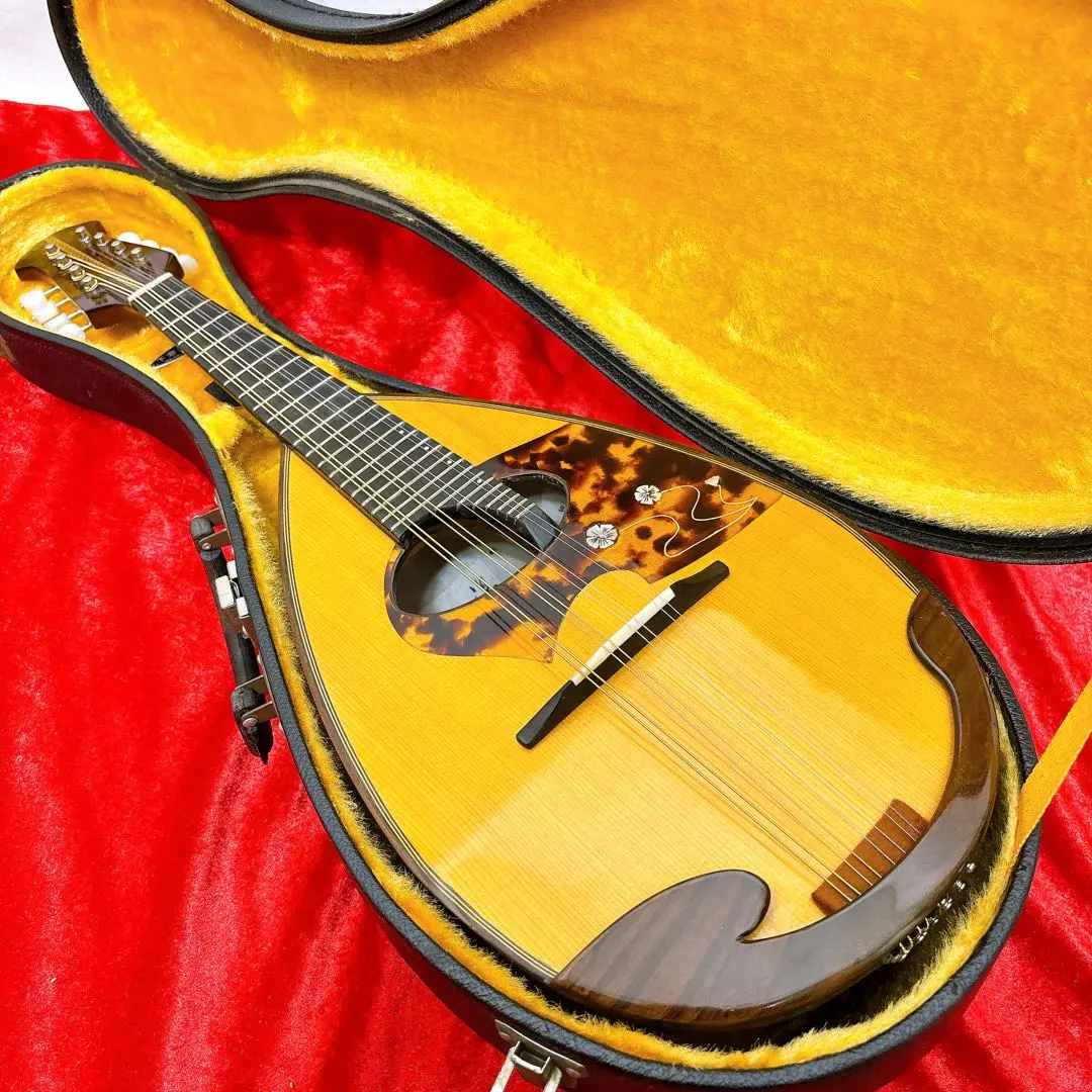 2026年最新】石川マンドリンの人気アイテム - メルカリ