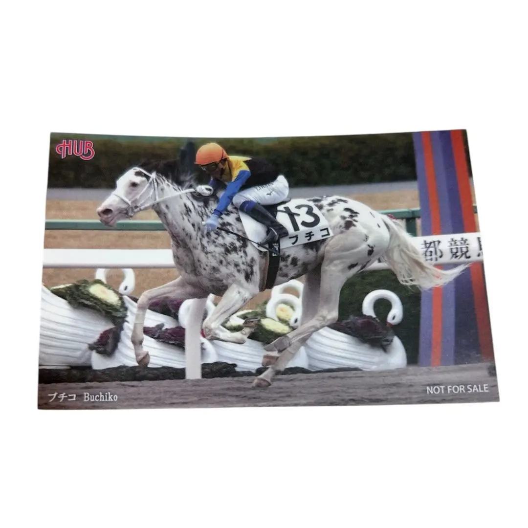 2026年最新】ブチコ 競馬の人気アイテム - メルカリ