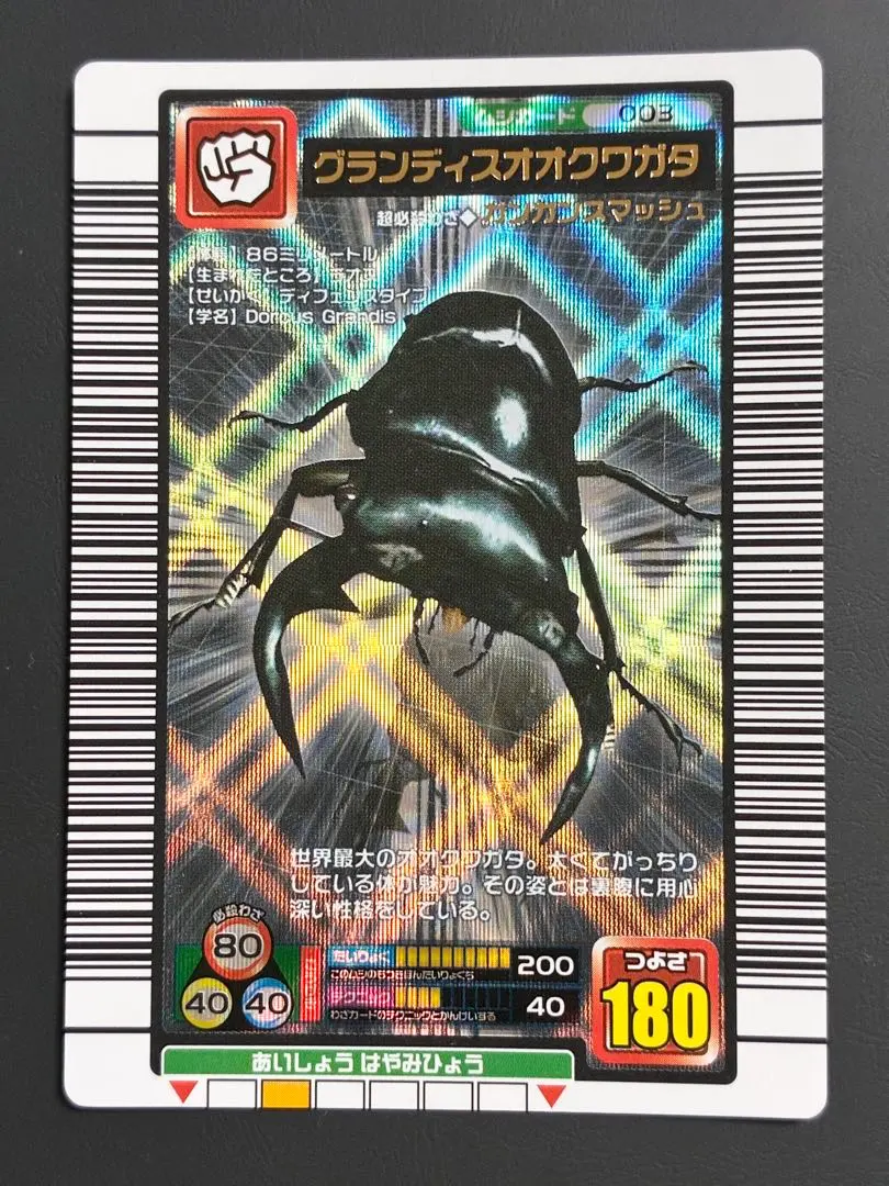 2026年最新】003グランディスオオクワガタの人気アイテム - メルカリ