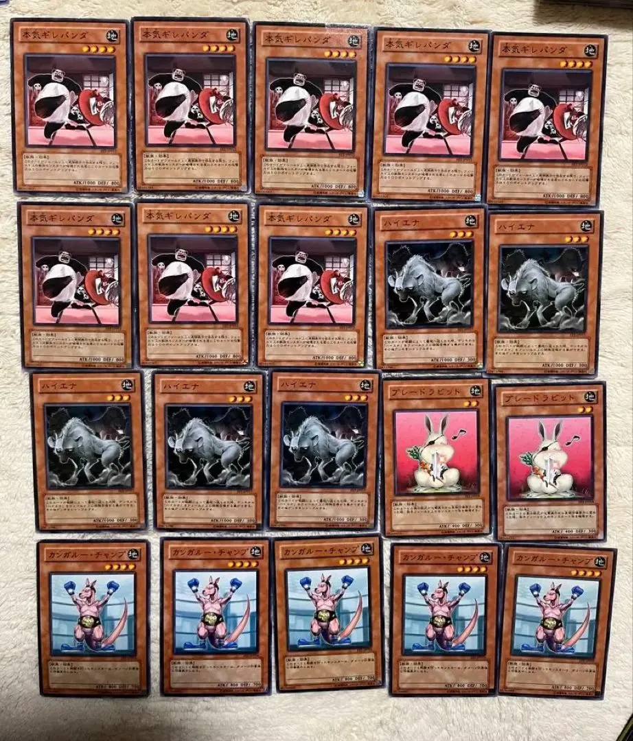 2026年最新】エキスパンション：4期 遊戯王OCG デュエルモンスターズの