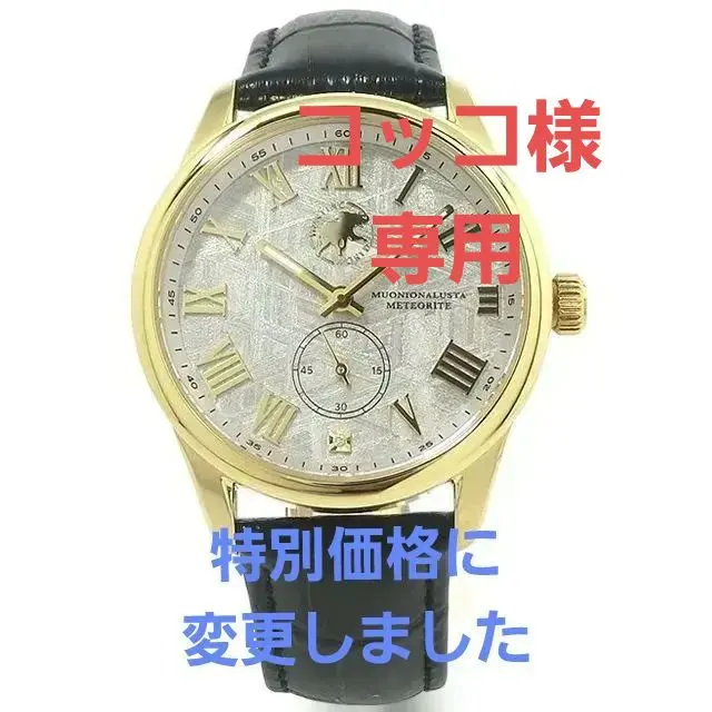 2026年最新】ムオニオナルスタ隕石の人気アイテム - メルカリ