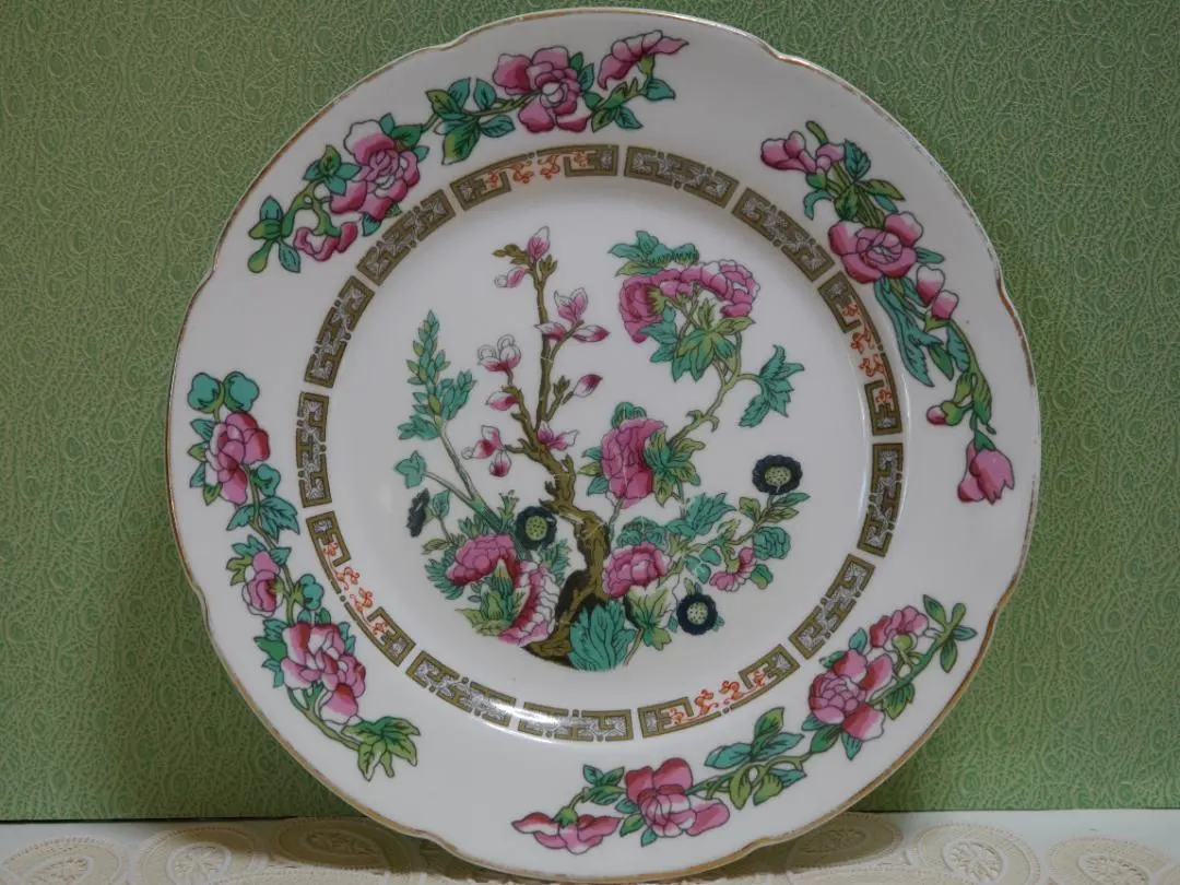 2026年最新】コールポート インディアンツリーの人気アイテム - メルカリ