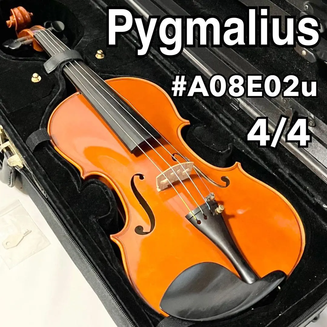 2026年最新】pygmaliusバイオリンの人気アイテム - メルカリ