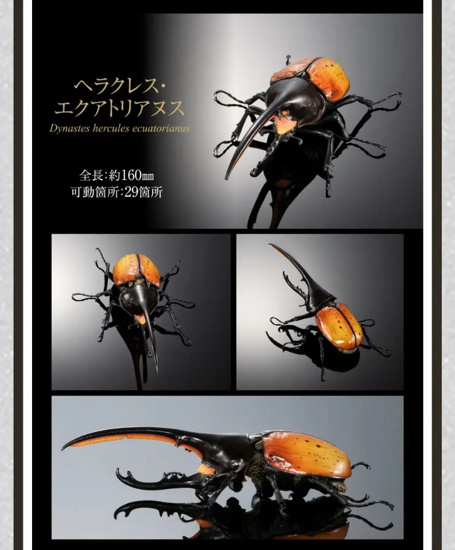 2026年最新】エクアトリアヌスの人気アイテム - メルカリ