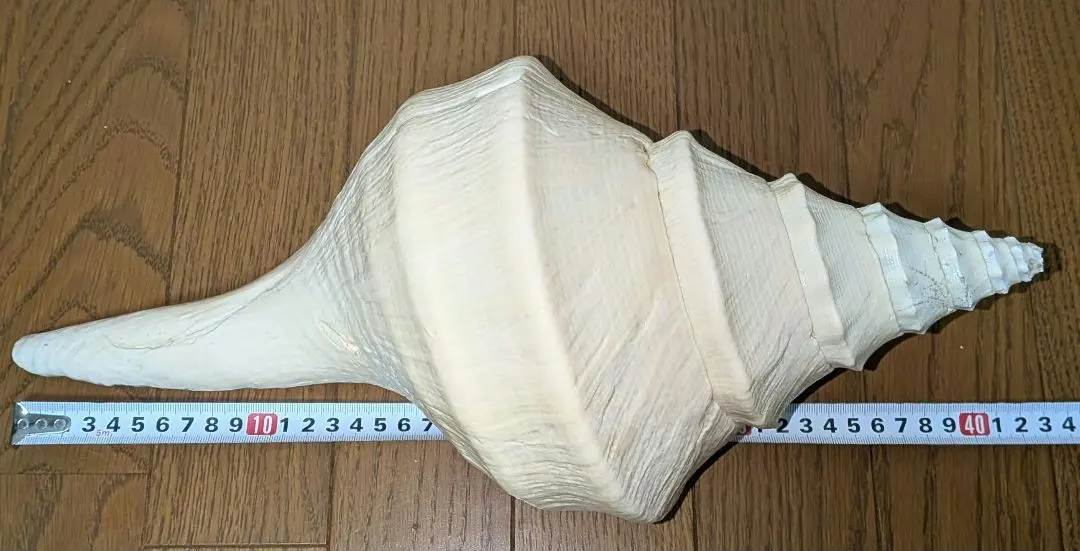 2026年最新】アラフラオオニシの人気アイテム - メルカリ