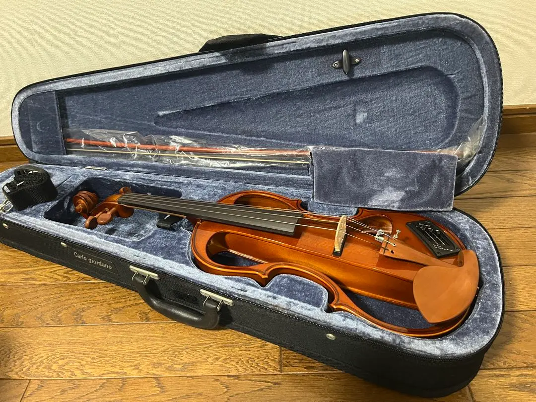 2026年最新】carlo giordano EV-202の人気アイテム - メルカリ