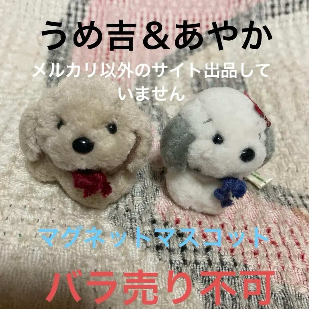 2026年最新】うめ吉 あやかの人気アイテム - メルカリ