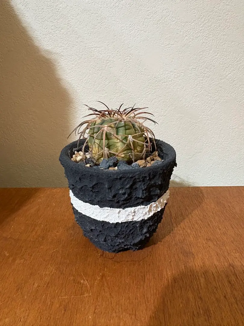 2026年最新】lef botanicalの人気アイテム - メルカリ