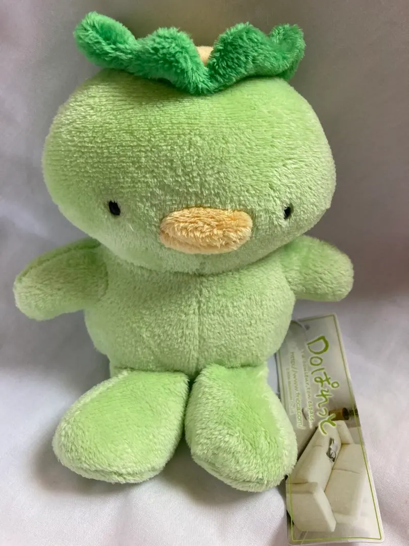 m60099979934_1.jpg?1771650240