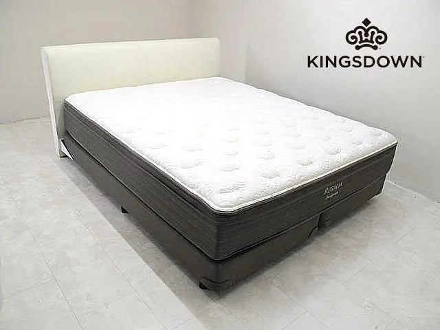 2026年最新】キングスダウン レガリアの人気アイテム - メルカリ