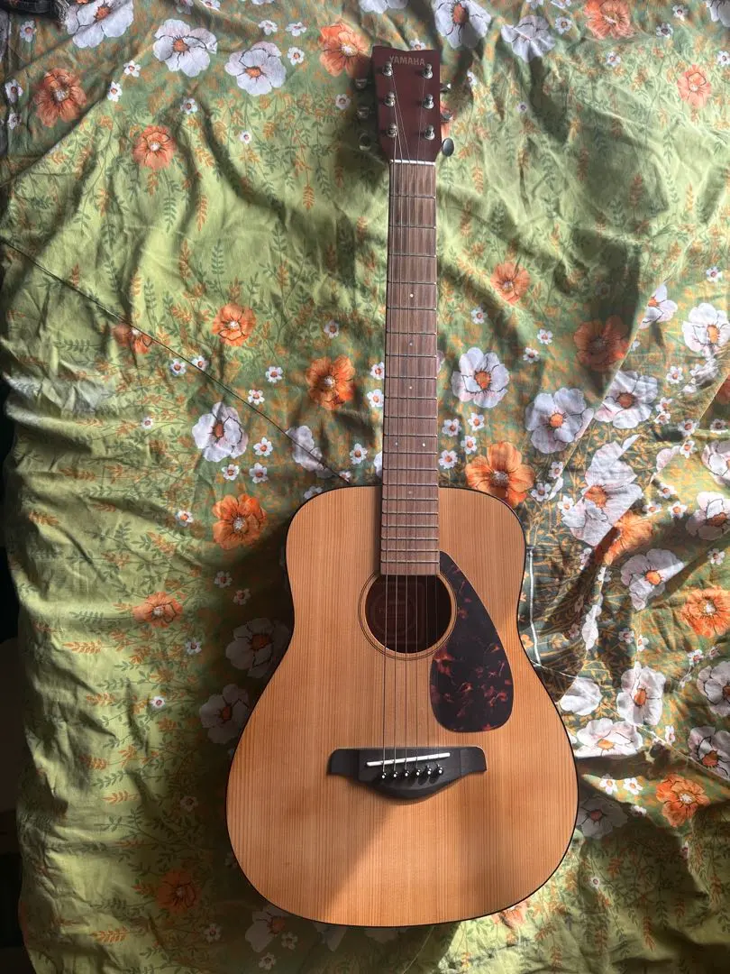 2026年最新】dreadnought juniorの人気アイテム - メルカリ