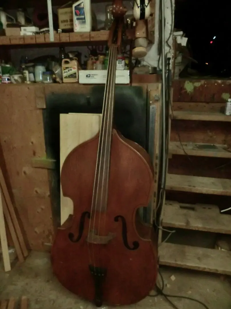 2026年最新】コントラバス チャキの人気アイテム - メルカリ