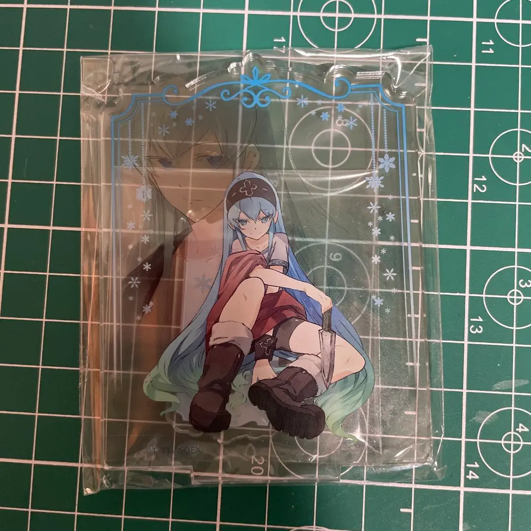 2026年最新】エスデス アカメの人気アイテム - メルカリ