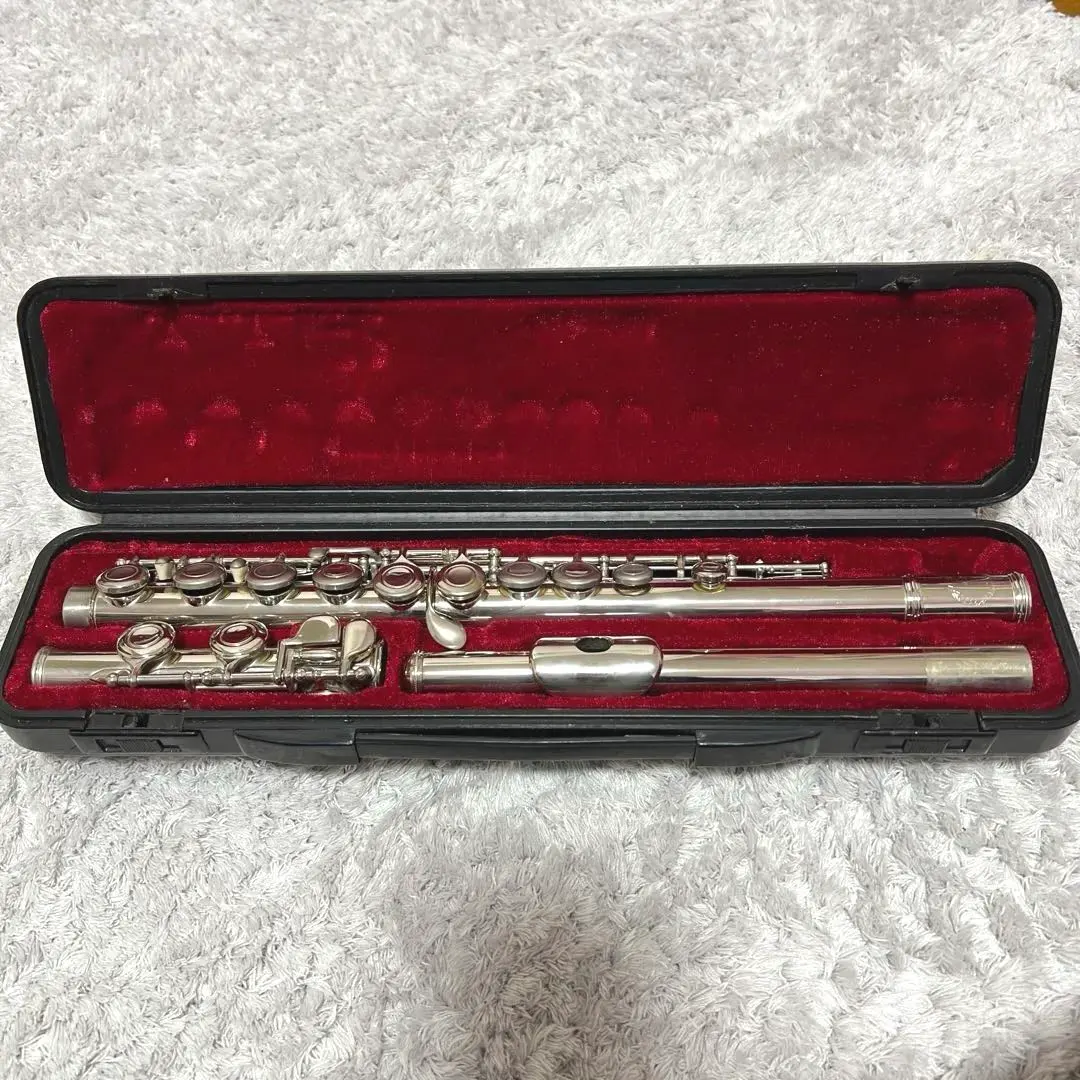 2026年最新】Maxtone フルートの人気アイテム - メルカリ