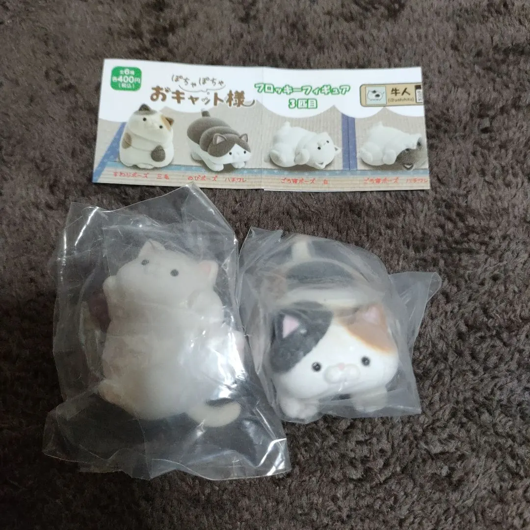 2026年最新】ぽちゃぽちゃおキャット様2匹目の人気アイテム - メルカリ