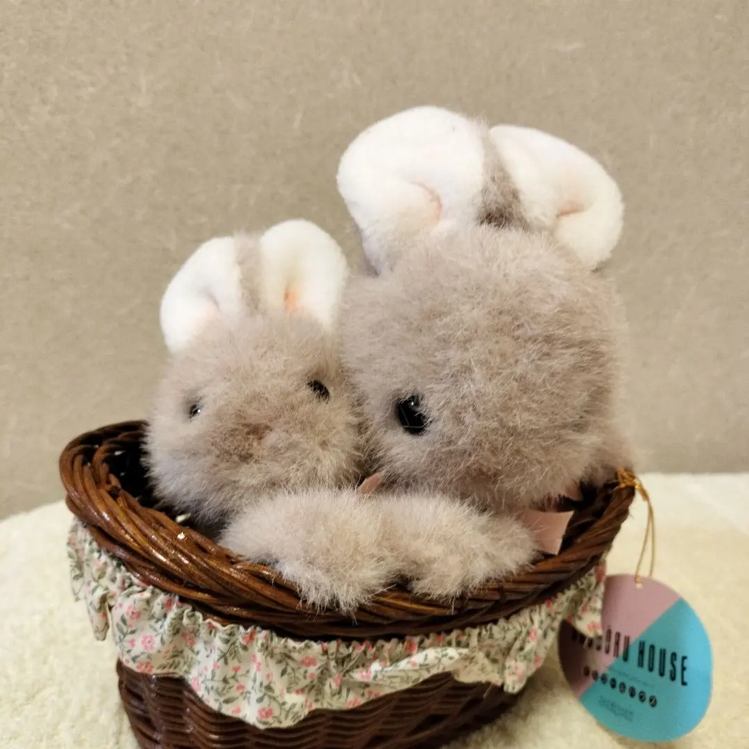 2026年最新】セキグチ うさぎ オルゴールの人気アイテム - メルカリ