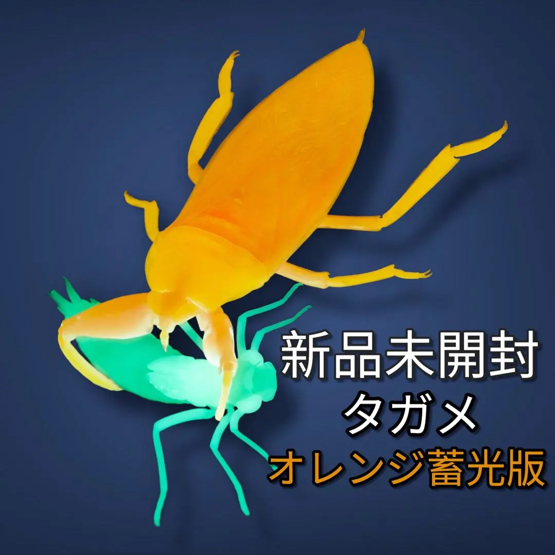 2026年最新】リボジオ タガメの人気アイテム - メルカリ