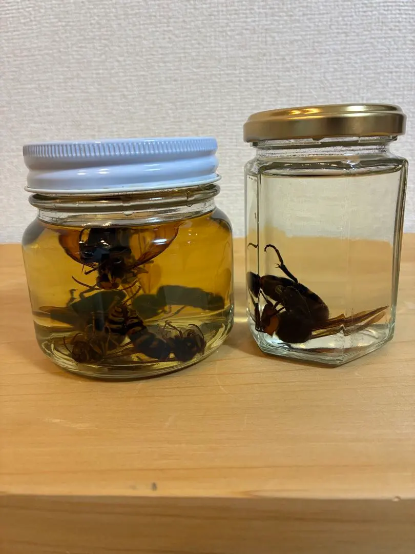 2026年最新】スズメバチ 焼酎の人気アイテム - メルカリ