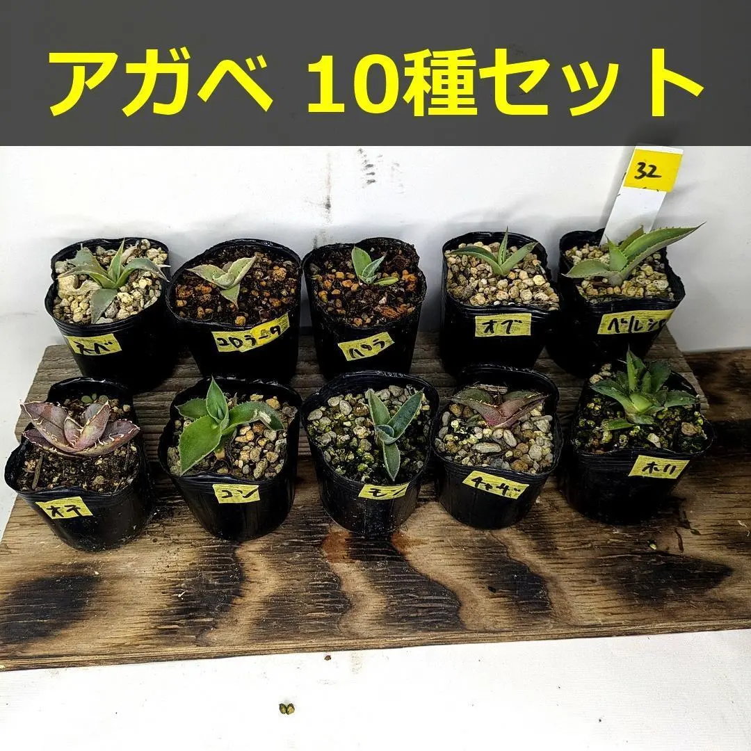 2026年最新】チャザロイの人気アイテム - メルカリ