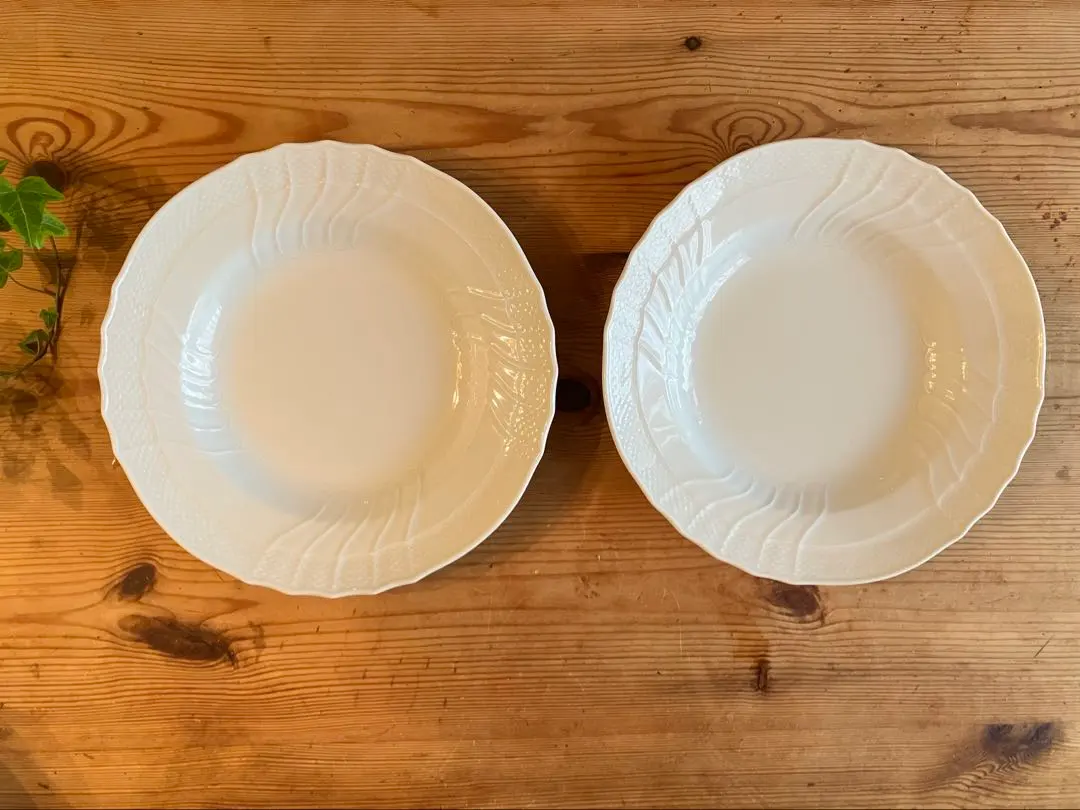 2026年最新】フィオーリヴェルディの人気アイテム - メルカリ