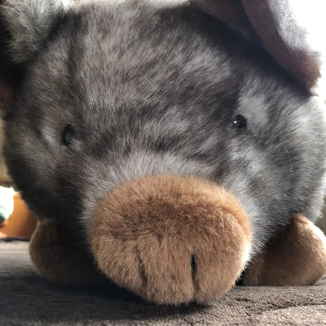 2026年最新】Animal Alleyの人気アイテム - メルカリ