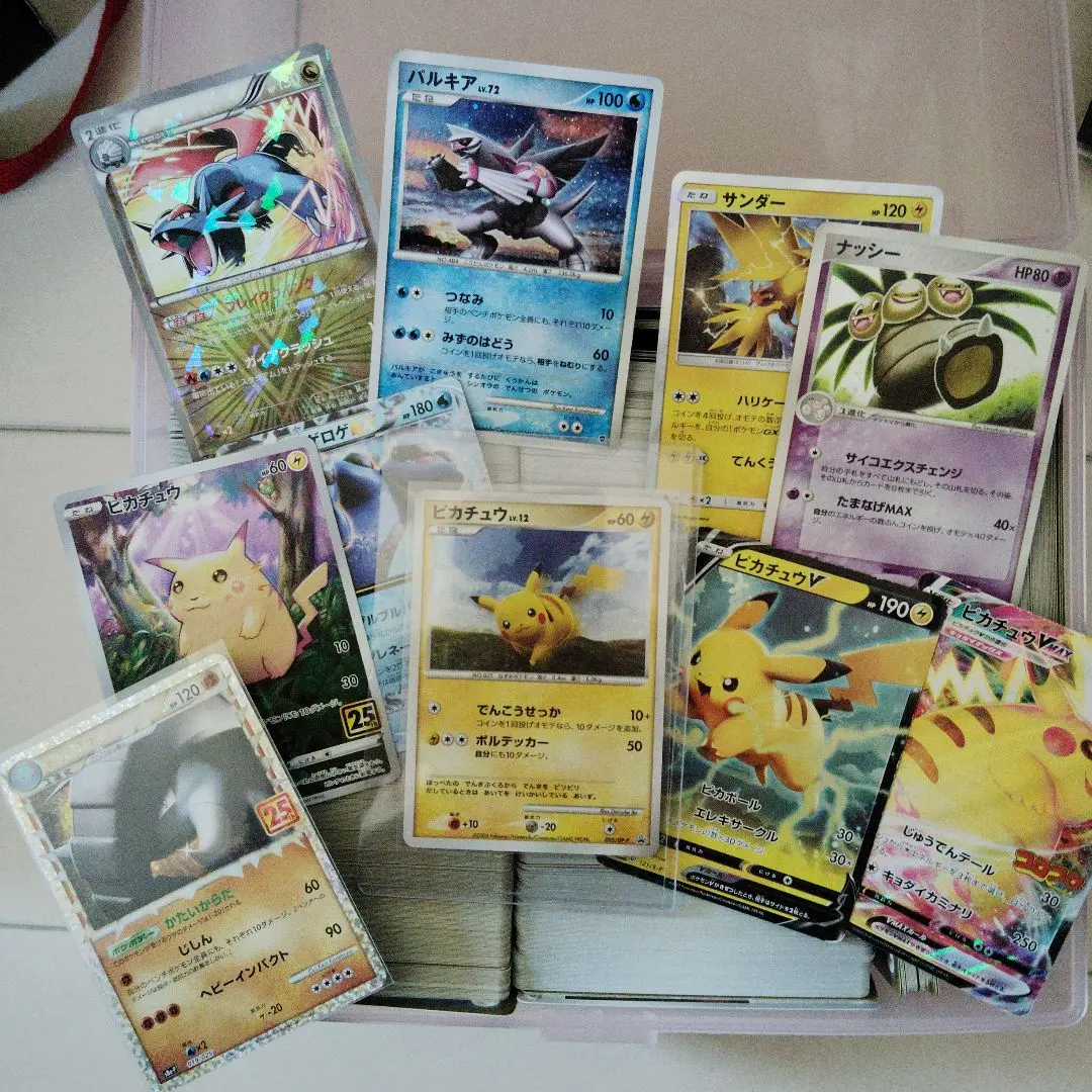 m91243499366_1.jpg?1771921518