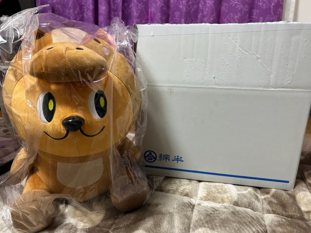 2026年最新】わたぴー ぬいぐるみの人気アイテム - メルカリ