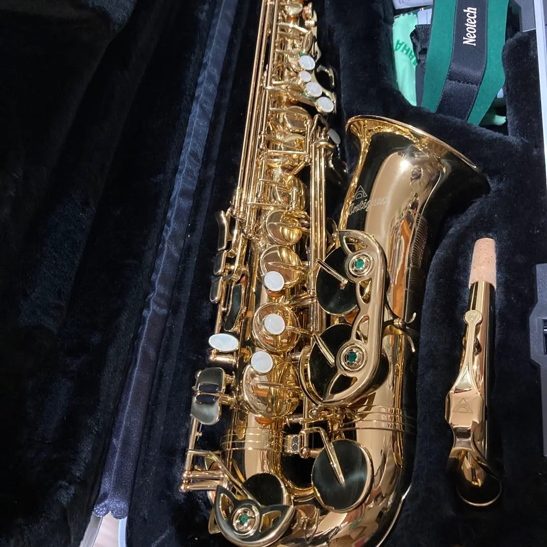 2026年最新】アンティグア アルトサックスの人気アイテム - メルカリ