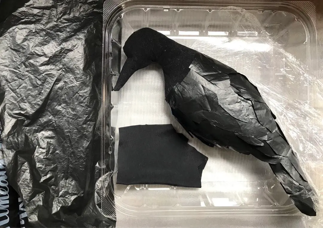 2026年最新】カラス 剥製の人気アイテム - メルカリ