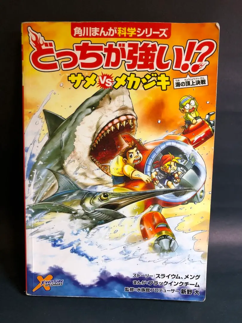 2026年最新】カジキ 角の人気アイテム - メルカリ